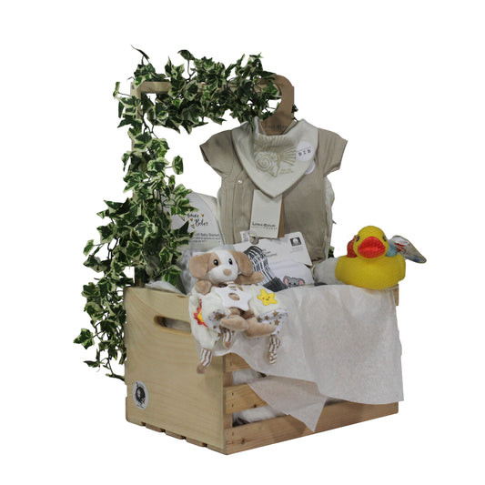 3 Stories Trading Company 29 Piece Complete Baby Shower Wardrobe Gift Crate, Gender Neutral