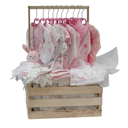 3 Stories Trading Company Baby Girls' First Year Baby Shower Gift Crate, 36-Piece Set
