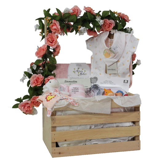 3 Stories Trading Company 29 Piece Complete Baby Shower Wardrobe Gift Crate, Girls