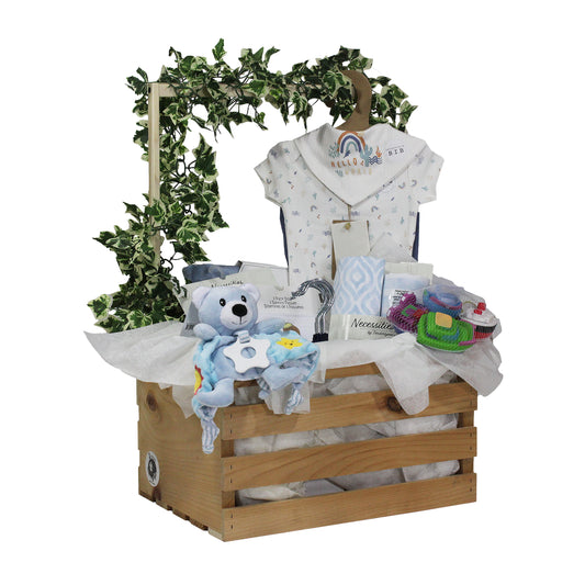 3 Stories Trading Company 29 Piece Complete Baby Shower Wardrobe Gift Crate, Boys